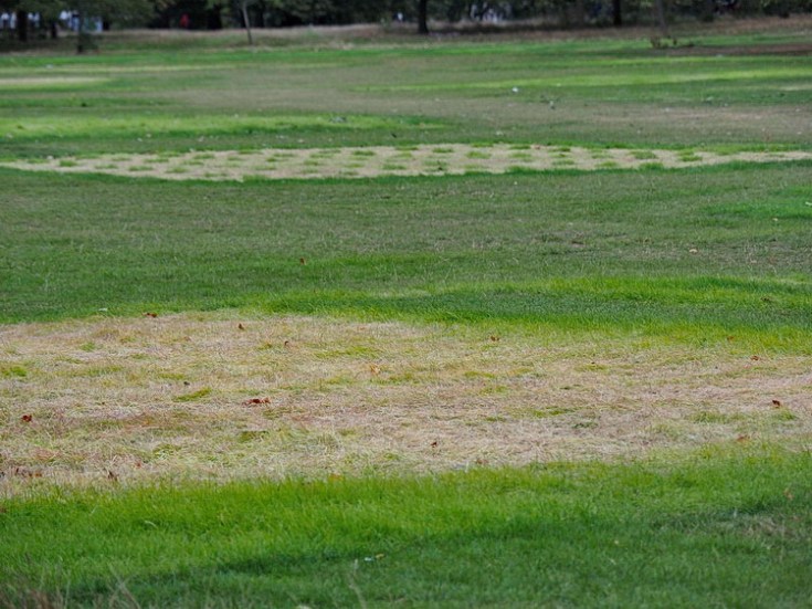 The crop circles of Brockwell Park (after the funfair has gone) - series of attract photos