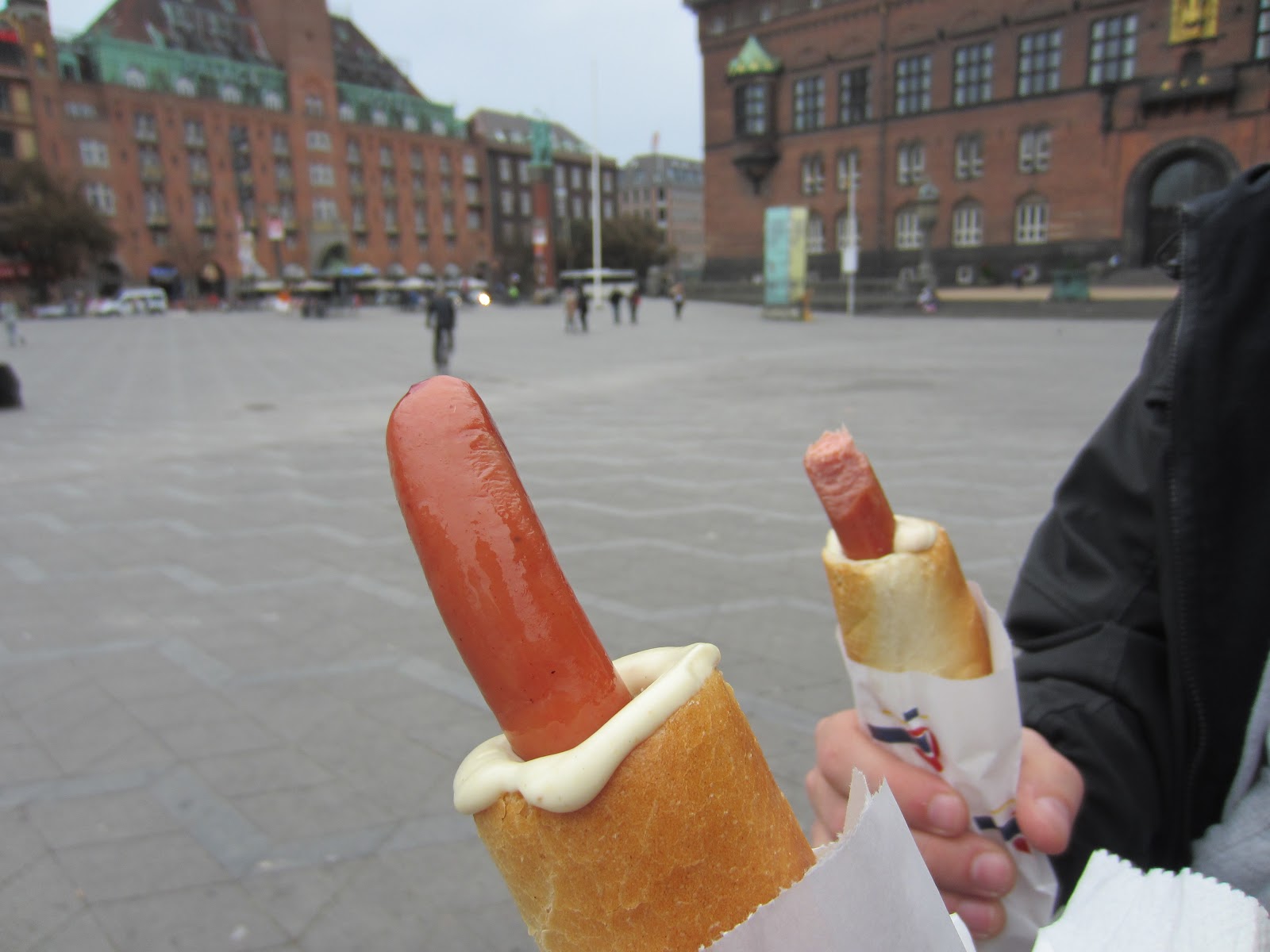 Copenhagen+hot+dog+02.JPG