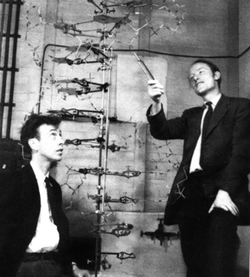 watson-crick-dna.jpg