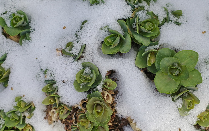 In photos: a nippy afternoon in Brockwell park and the walled garden