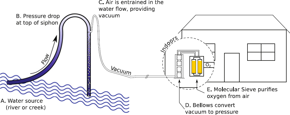 41479_2016_6010115_Fig1.jpg