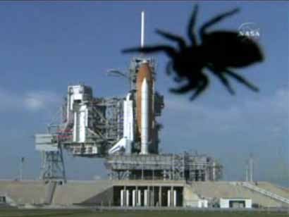 A spider the size of the space shuttle attacking it on the launch pad