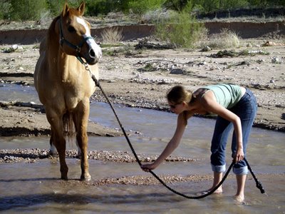 Horse-to-Water.jpg