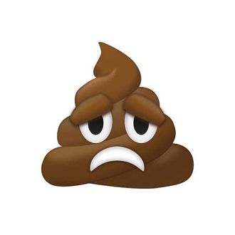 97b3659143234ec9e2fc395098f80f58d6-02-poop-emoji-debate.rsquare.w330.jpg