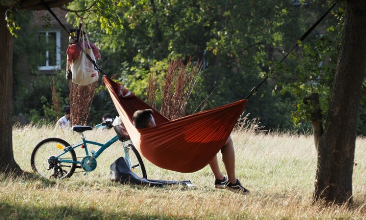 hammock.jpg