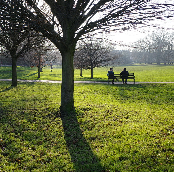 Brockwell Park winter sun, shadows and crowds, Sat 9th Jan 2021