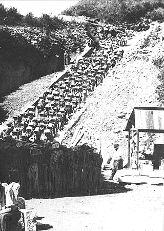 Mauthausen-quarry.GIF