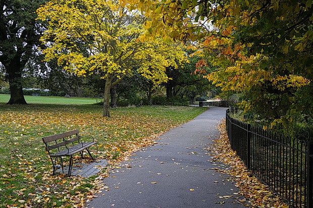 brockwell-park-autumn-2016-07.jpg