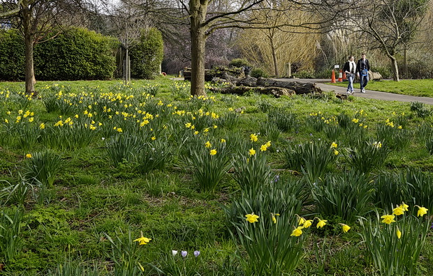 spring-ruskin-park-2016-11.jpg