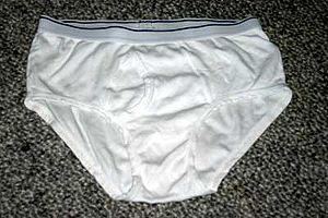 300px-Underpant.jpg