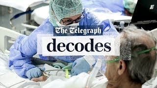 www.telegraph.co.uk