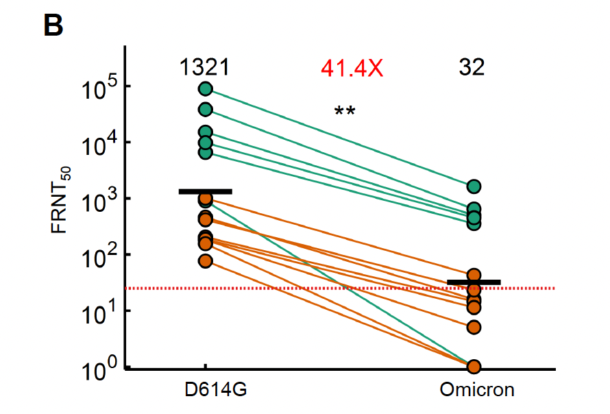 Neutralisation reduction for BNT162b2 sera versus omicron/B.1.1.529 relative to early-type D614G. Green are convalescent vaccinees, orange vaccinees only .