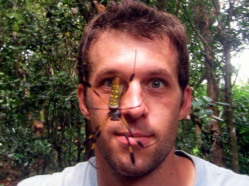 a spider sitting on a man's face in a forest