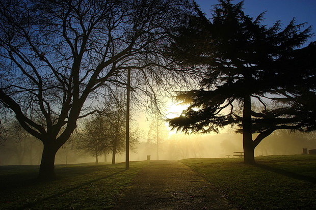 foggy-brockwell-park-11.jpg