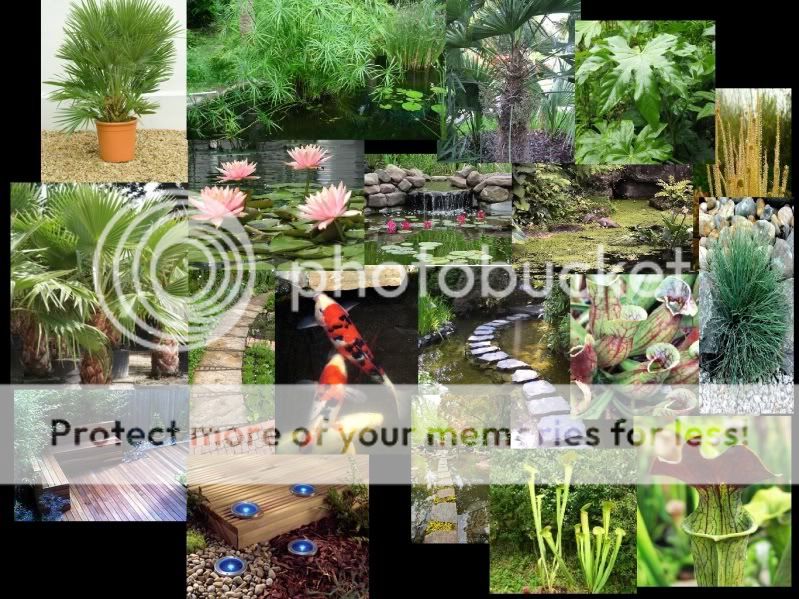 gardenmoodsheet.jpg