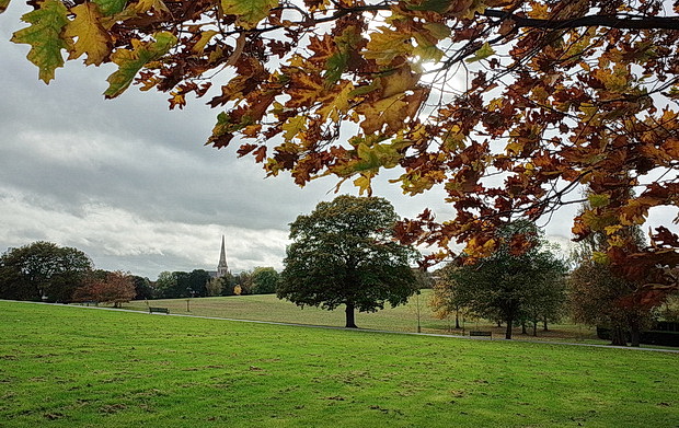 brockwell-park-october-2017-13.jpg