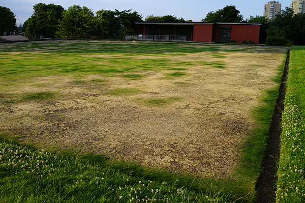 brockwell-park-late-afternoon-10.jpg