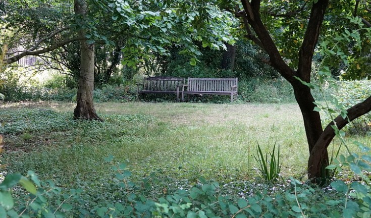 In photos: Durand Gardens, a private park in Stockwell