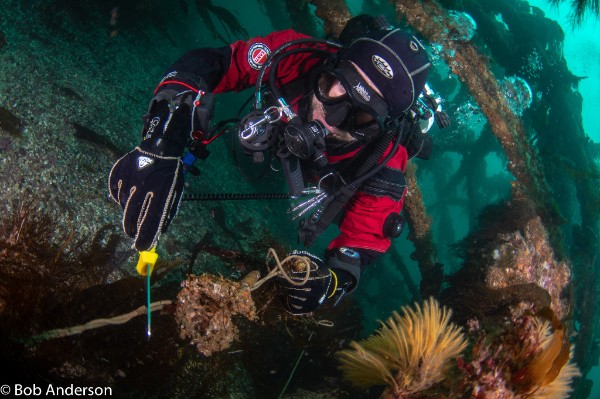 www.ghostfishing.co.uk