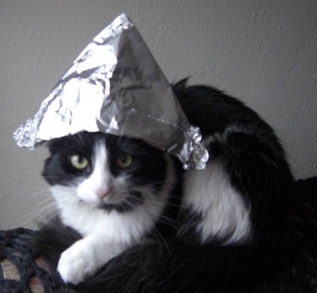 Sasha-cat-in-tinfoil-hat-cropped-620x574.jpg