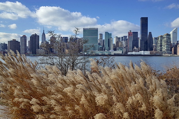 hunters-point-long-island-city-nyc-16.jpg