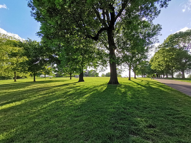 Photo feature: 40 photos of Brockwell park taken during May 2020