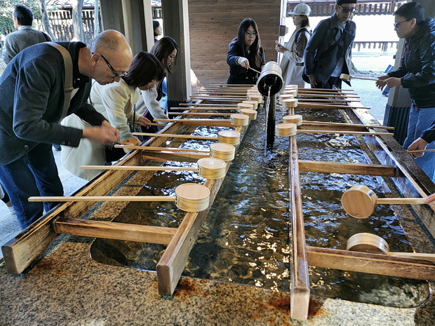 meiji-shrine-tokyo-17.jpg