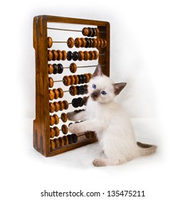 little-siamese-kitten-old-wooden-260nw-135475211.jpg