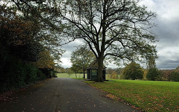 brockwell-park-october-2017-10.jpg