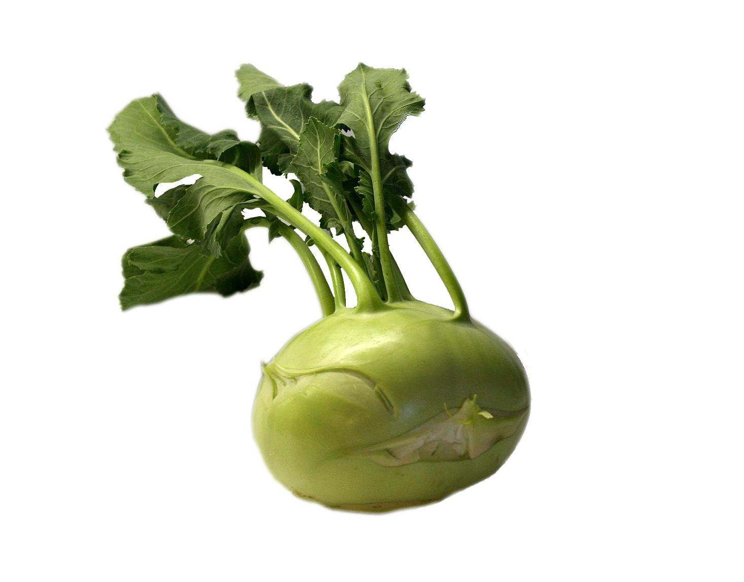 kohlrabe_01_dauni.jpg