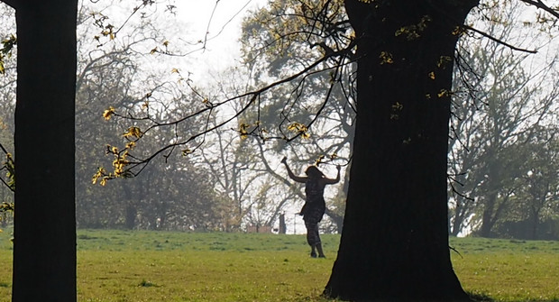 Brockwell Park, trees and shadows - photo feature, April 2020