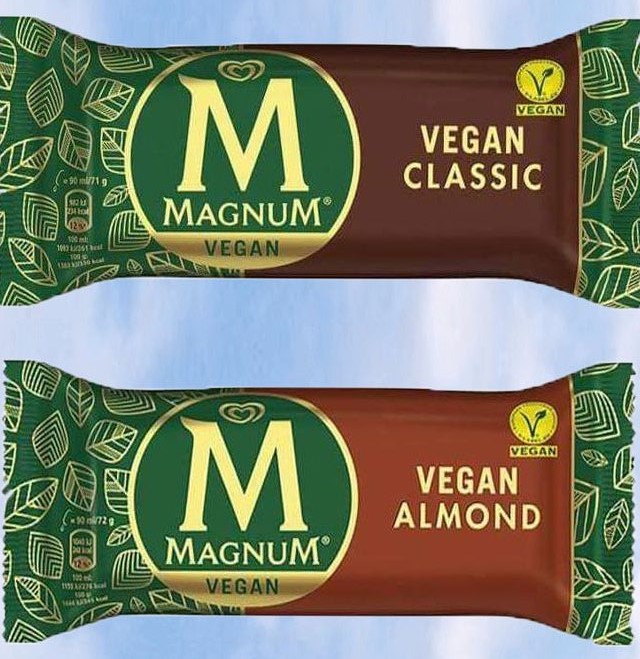 738603263_Vegan-Magnum-1155x640new.jpg