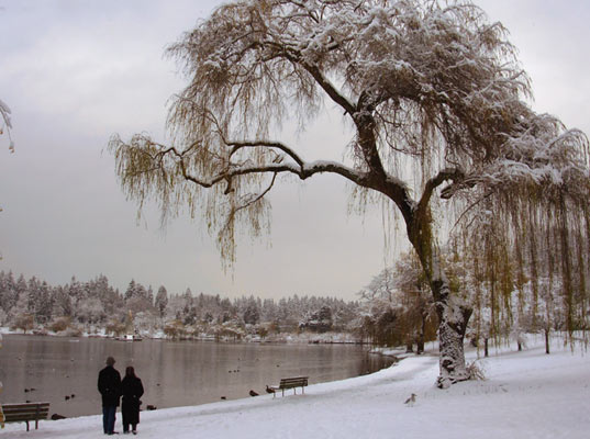 winter_photo_landscape.jpg