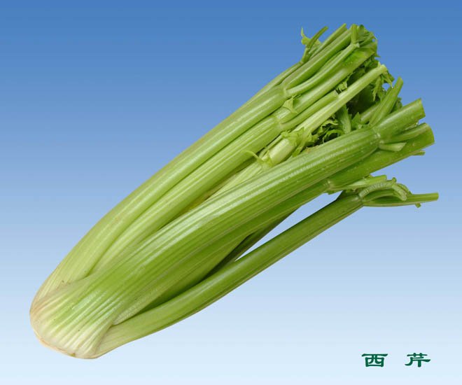 Organic_Celery.jpg