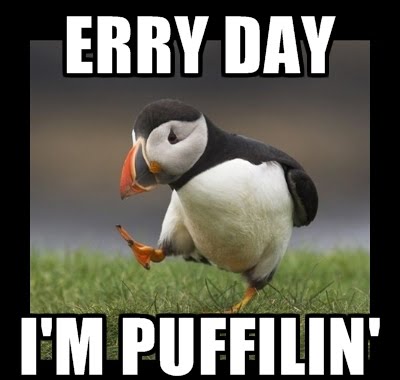 Everyday-Im-Pufflin.jpeg