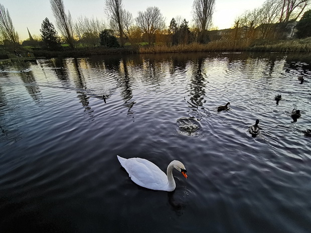 In photos: a winter walk around Brockwell park, south London, 19th Jan 2020