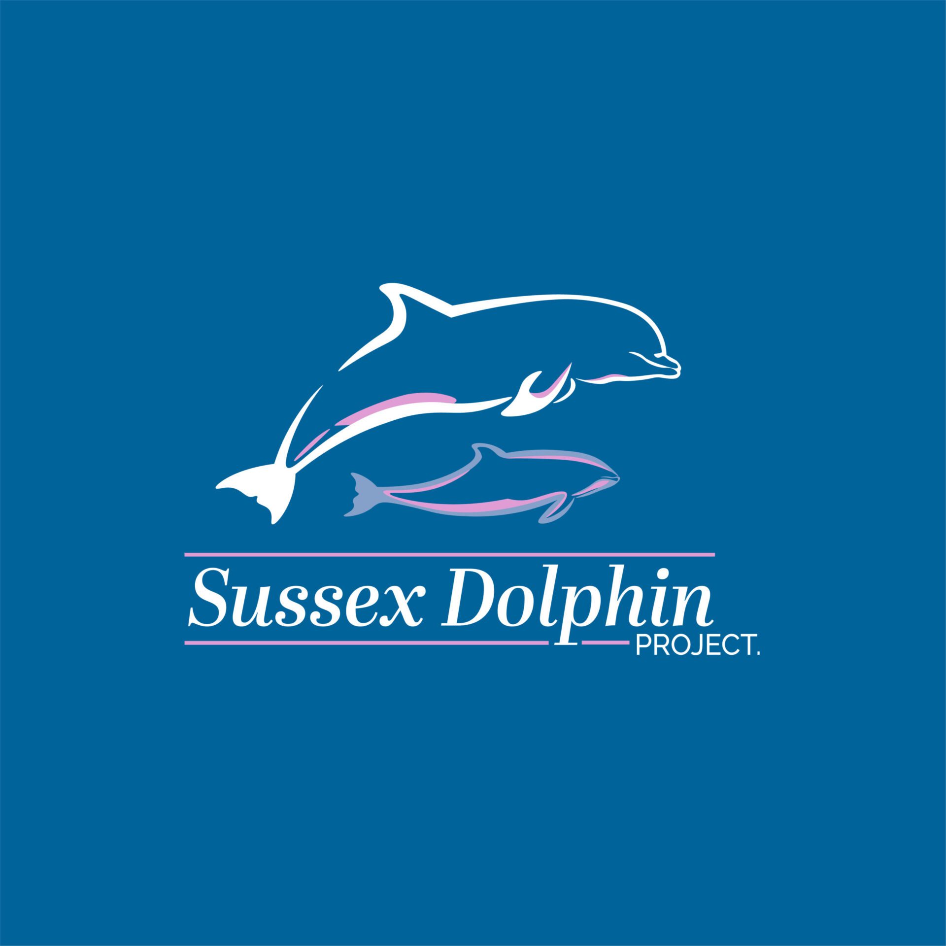 sussexdolphinproject.org