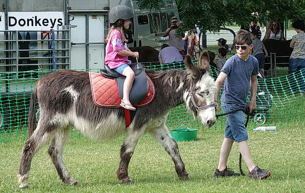 ruskin-park-fair-summer-2019-08.jpg