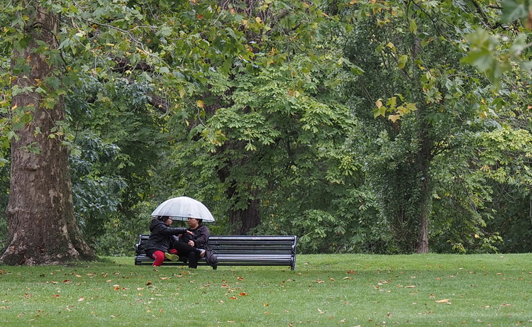 A photo walk through Green Park, St James's Park and Trafalgar Square, London, September 2020