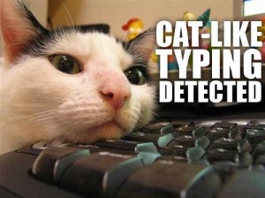 catliketyping-300x224.jpg