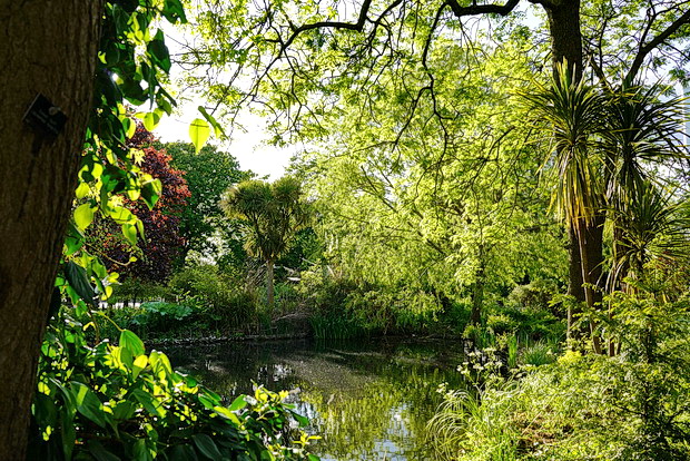 A spring symphony: 50 photos of Ruskin Park in bloom, south London