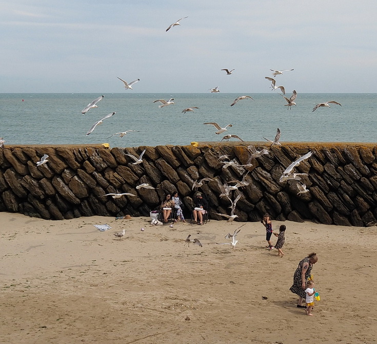 Folkestone in 60 photos: beach scenes, Charivari Day parade and night life