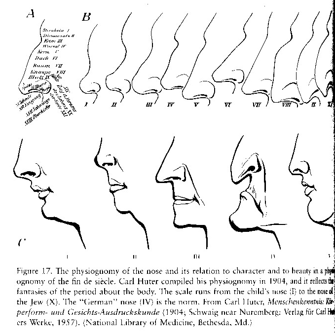 jewishnose2.jpg