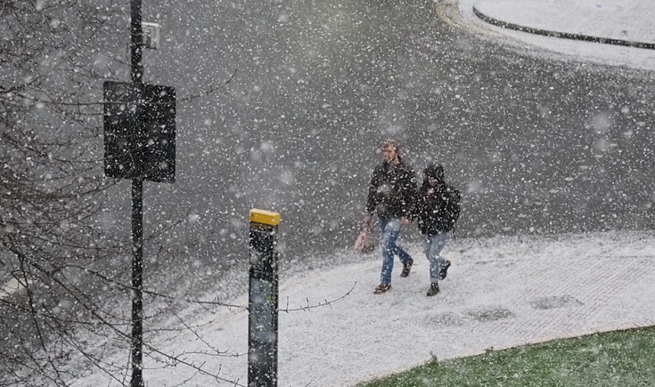 First snow of the winter arrives in Brixton! Sunday 24th Jan 2021