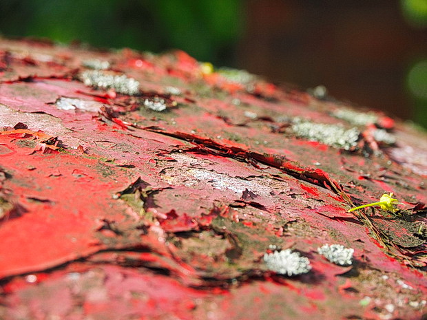 flaking-postbox-denmark-hill-03.jpg