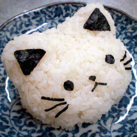 cat-rice.jpg