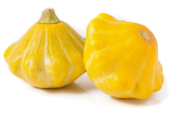 squash_l2.jpg