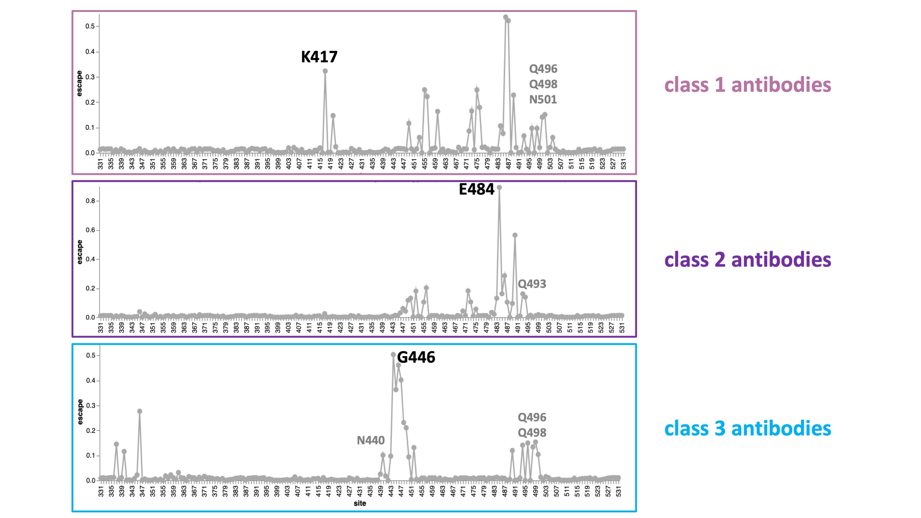 B.1.1.529 antibody class escape maps.