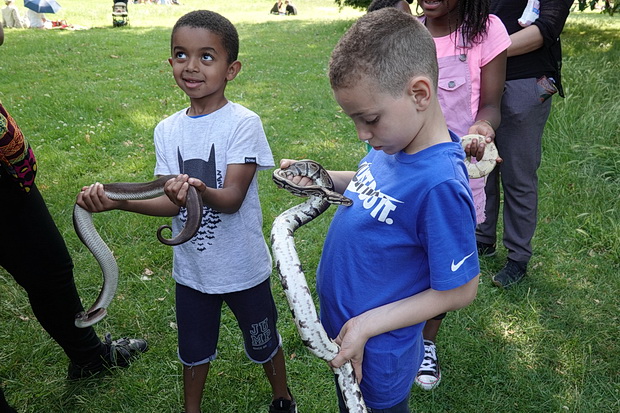 ruskin-park-fair-summer-2019-27.jpg