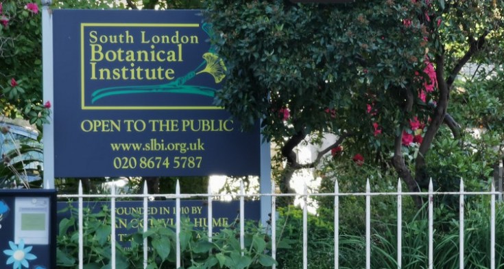 Visit the Open Garden Evening at the South London Botanical Institute, Thurs 30th July, 2020